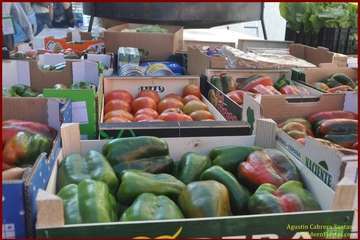 Los barrios de Telde, de romería: El Goro (Foto 1-66) y Caserío de Gando (Foto 67-97) (Reportaje gráfico TF)